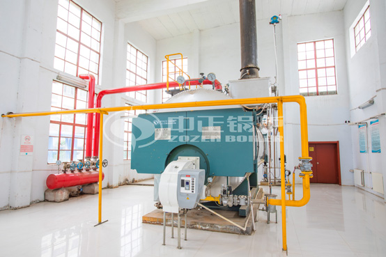 6噸WNS冷凝式燃?xì)庹羝仩t項目