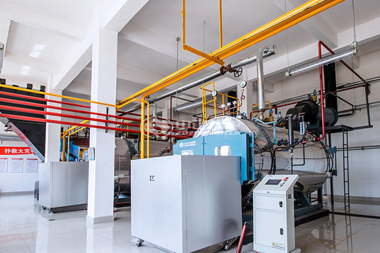 2噸WNS冷凝式燃?xì)庹羝仩t項目