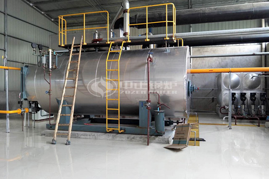 2噸WNS系列冷凝式燃?xì)庹羝仩t項目