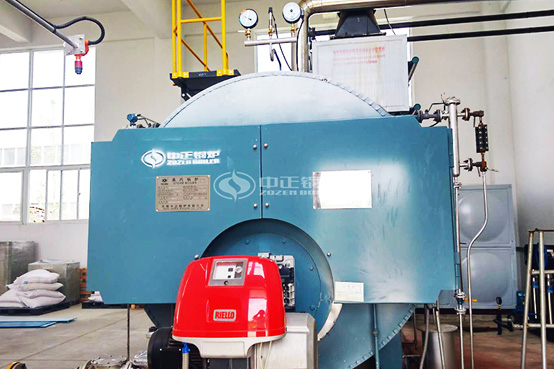 4噸WNS系列冷凝式燃?xì)忮仩t項目