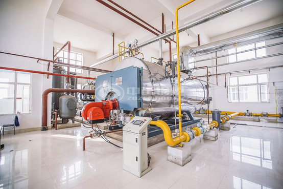 6噸WNS冷凝式燃?xì)忮仩t項目