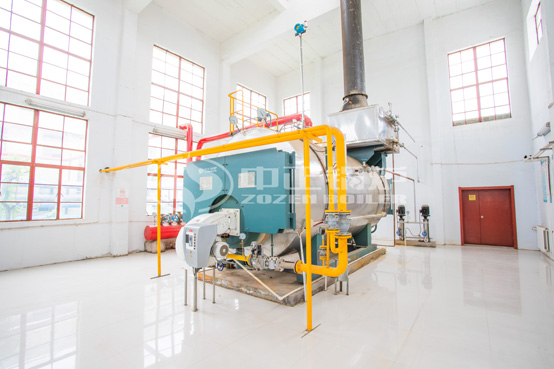 振華汽車涂裝6噸WNS系列高效節能燃氣蒸汽鍋爐項目